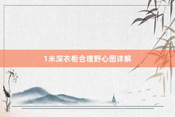 1米深衣柜合理野心图详解